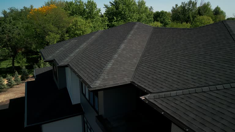 Best Roof Moss and Algae Removal  in Neillsville, WI